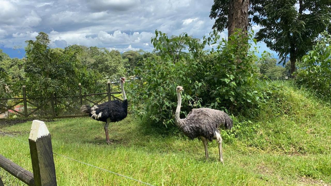 Rancho Ecoturistico El Faro 호텔 라 메사 외부 사진