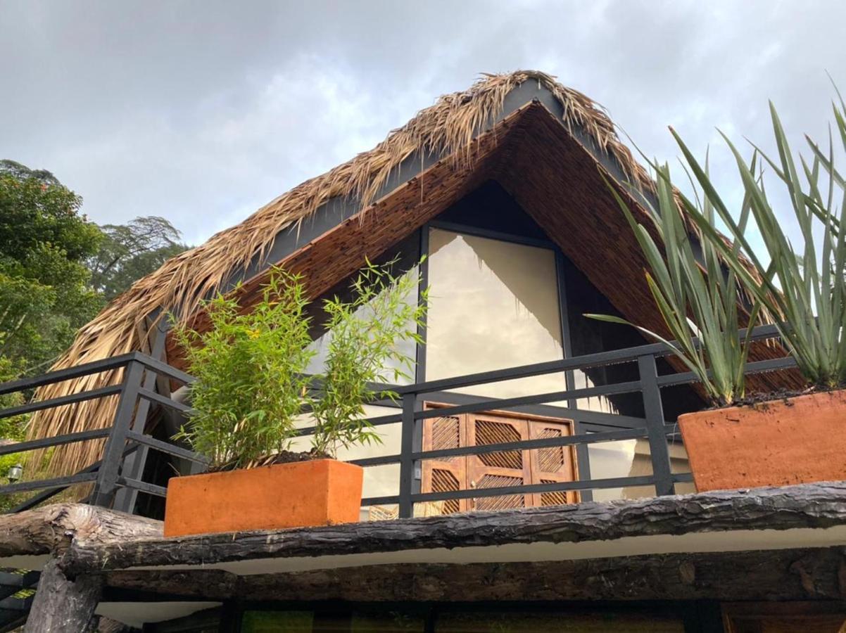 Rancho Ecoturistico El Faro 호텔 라 메사 외부 사진