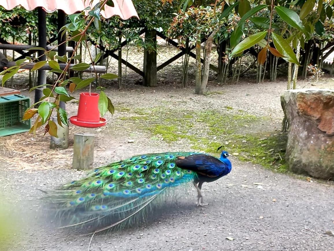 Rancho Ecoturistico El Faro 호텔 라 메사 외부 사진
