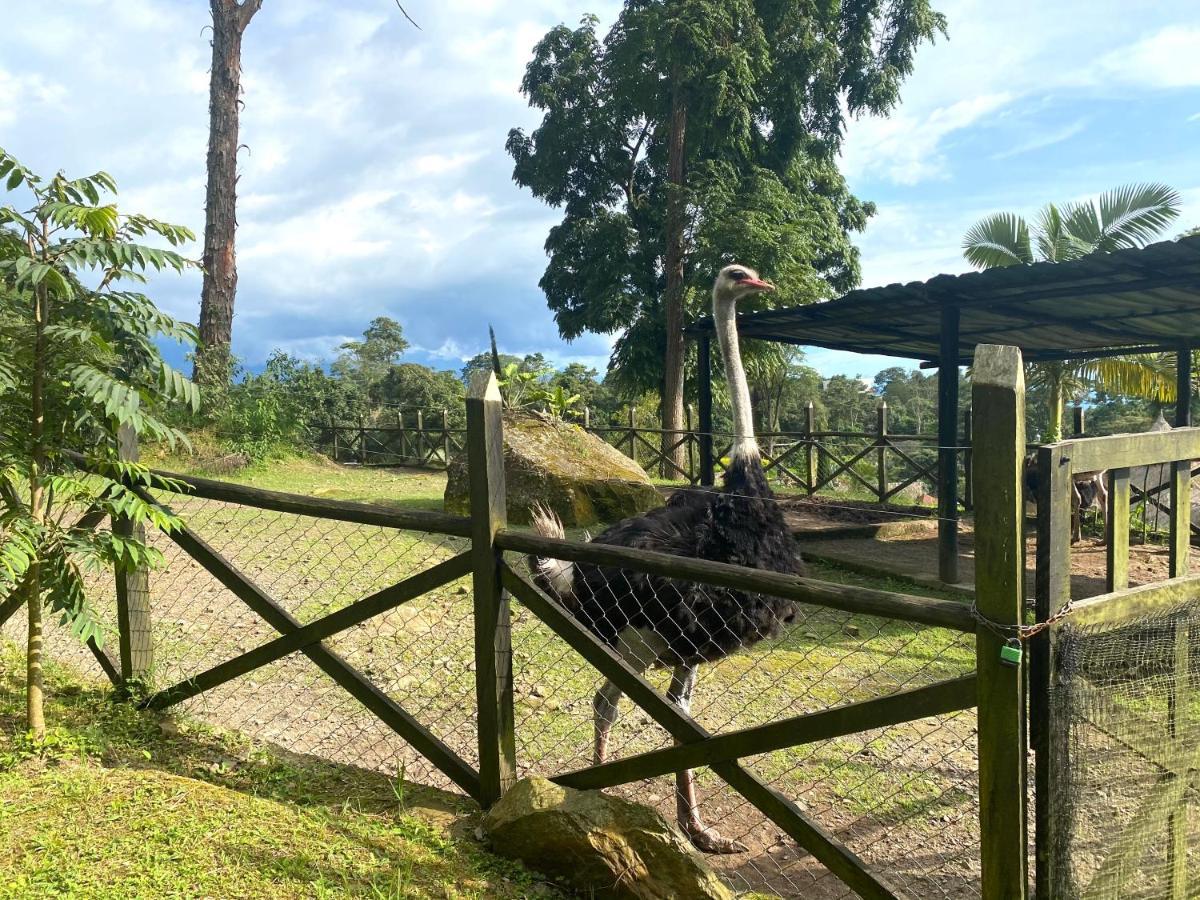 Rancho Ecoturistico El Faro 호텔 라 메사 외부 사진