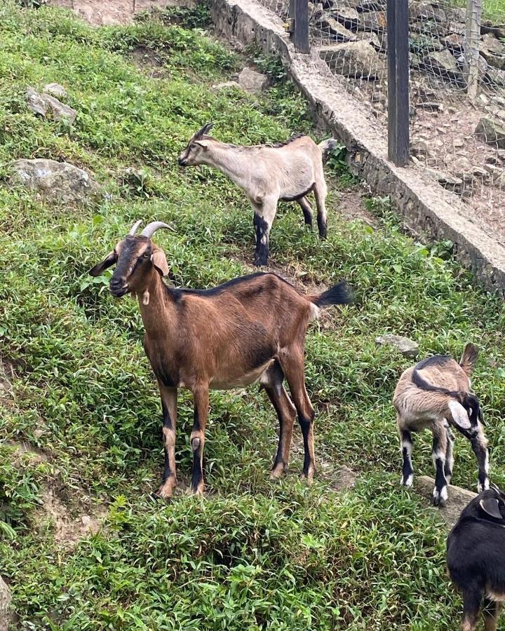 Rancho Ecoturistico El Faro 호텔 라 메사 외부 사진